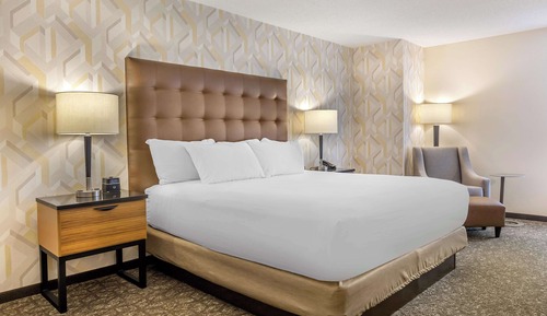 Deluxe Room, 1 King Bed, Accessible, Refrigerator & Microwave (Roll in Shower)
