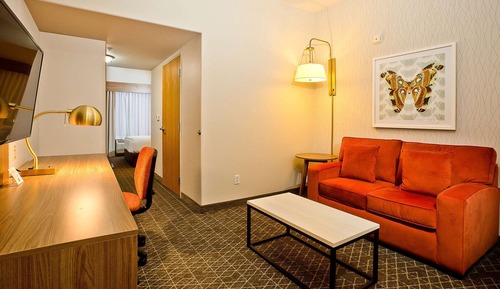 Executive Suite, 1 King Bed with Sofa bed
