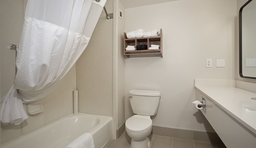 Studio, 1 King Bed, Accessible