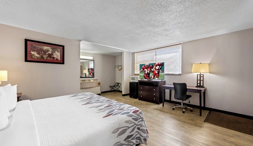 Deluxe Room, 1 King Bed, Non Smoking