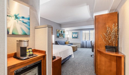 Room, 1 King Bed with Sofa bed, Non Smoking (Mobility Accessible, Roll-in Shower)