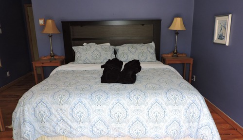 Suite, 1 King Bed, Jetted Tub, River View