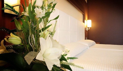 Double Room Single Occupancy