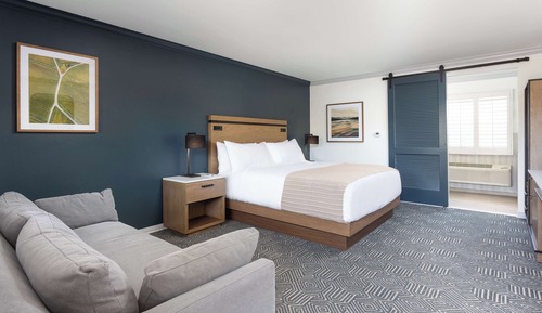 Room, 1 King Bed with Sofa bed