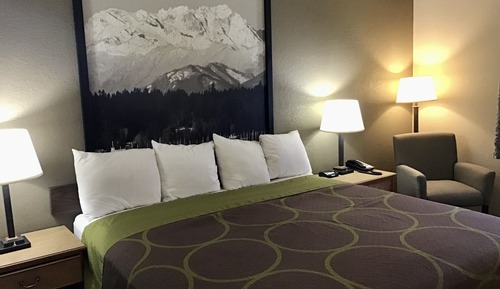 Room, 1 King Bed