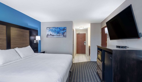 Room, 1 King Bed, Non Smoking