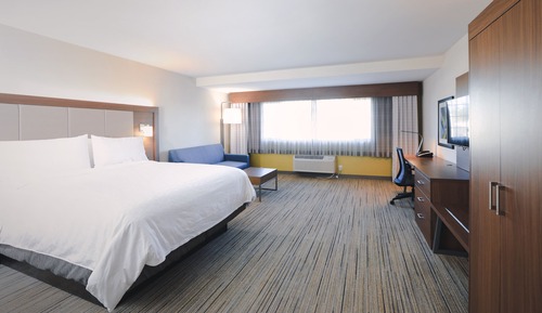 Suite, 1 King Bed with Sofa bed