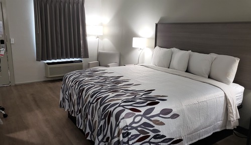 Superior Room, 1 King Bed, Non Smoking