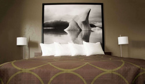 Room, 1 King Bed, Non Smoking