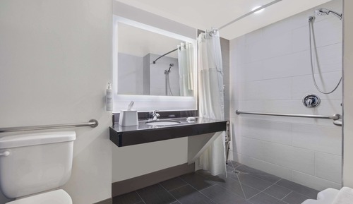 Room, 1 King Bed, Accessible (Mobility & Hearing, Roll-In Shower)