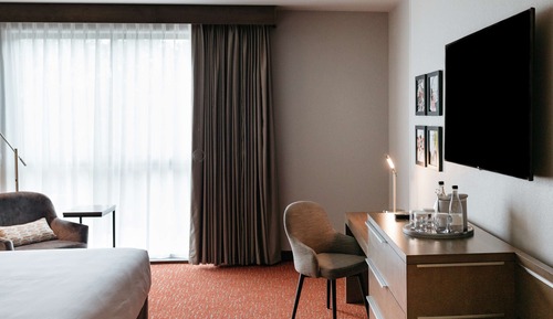 Room, 1 King Bed, Accessible (Roll-In Shower)