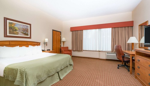 Room, 1 King Bed, Non Smoking