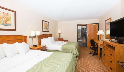 Room, 2 Queen Beds, Non Smoking, Poolside