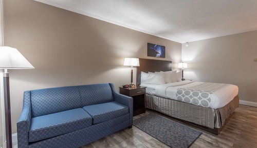 Standard Room, 1 King Bed, Non Smoking, Refrigerator & Microwave (with Sofabed)