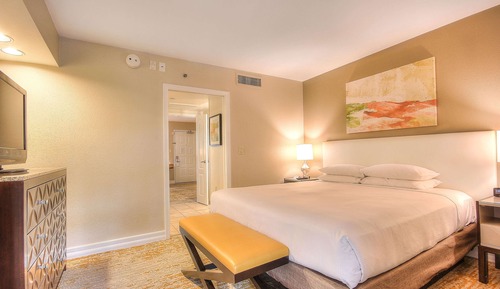 Room, 1 King Bed, Accessible (Agave, Roll-in Shower)