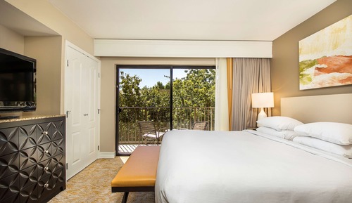Suite, 1 King Bed (Agave)