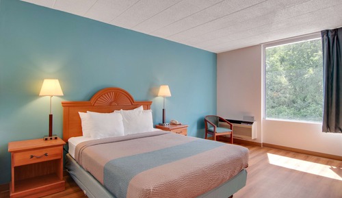 Deluxe Room, 1 Queen Bed, Smoking, Refrigerator & Microwave