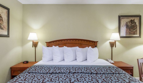 Standard Room, 1 King Bed, Non Smoking