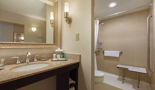 Room, 1 King Bed, Accessible (Roll-In Shower, Mobility & Hearing)