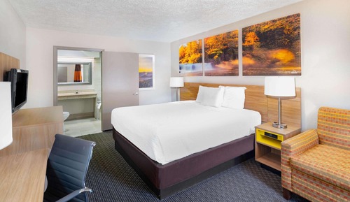Suite, 1 King Bed, Refrigerator