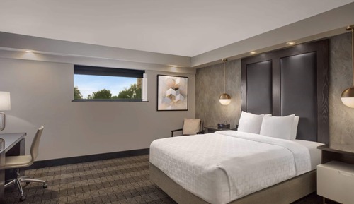 Room, 1 King Bed (Mobility Accessible, Roll-in Shower)