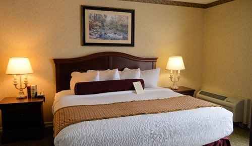 Standard Room, 1 King Bed, Non Smoking, Refrigerator & Microwave