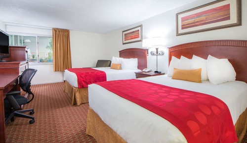Double Room, 2 Double Beds, Non Smoking