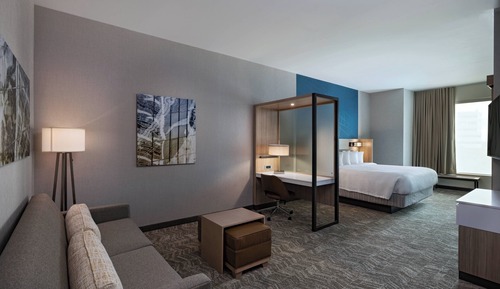 Suite, 1 King Bed with Sofa bed, City View