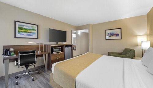 Standard Room, 1 King Bed, Smoking, Microwave