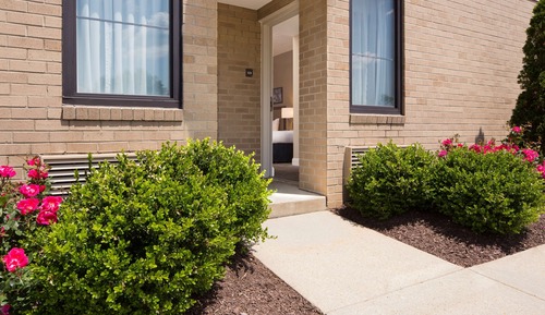 Room, 2 Double Beds, Patio, Ground Floor