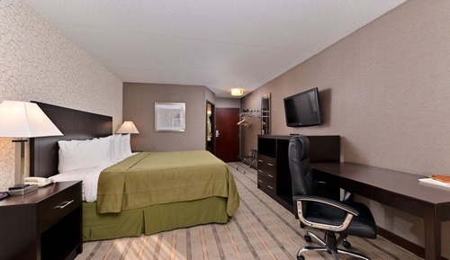 Room, 1 King Bed