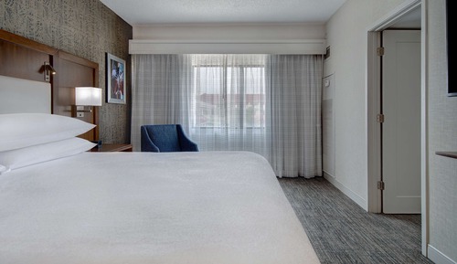 Suite, 1 King Bed (Conference)