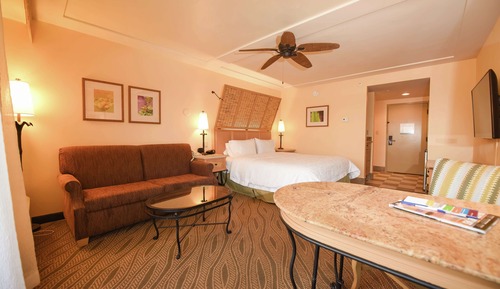 Room, 1 King Bed, Bay View