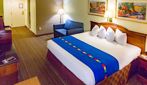 Room, 1 King Bed, Non Smoking