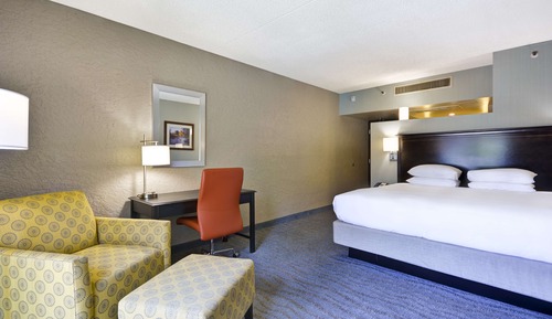 Room, 1 King Bed