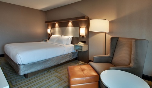 Room, 1 King Bed, Accessible