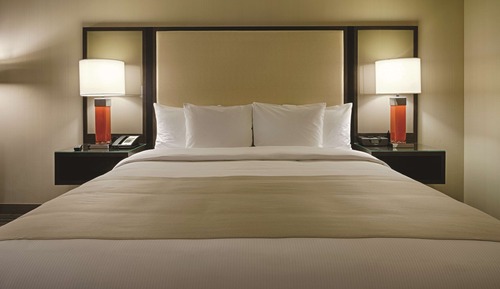 Room, 1 King Bed