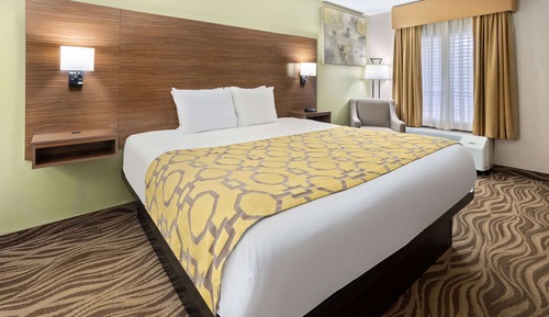 Room, 1 King Bed, Non Smoking