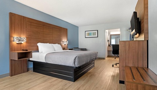 Standard Room, 1 King Bed, Non Smoking