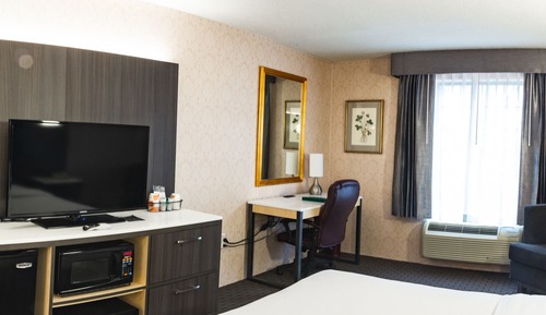 Standard Room, 1 King Bed, Non Smoking, Jetted Tub