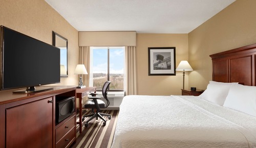 Room, 1 King Bed, Accessible