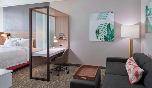 Suite, 1 King Bed with Sofa bed (Mobility/Hearing Access, Roll-In Shwr)