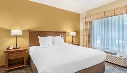 Room, 1 King Bed, Accessible, Non Smoking