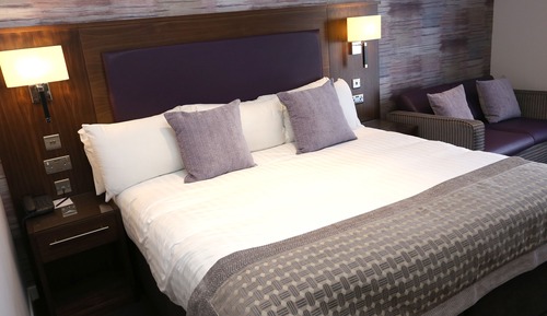 Standard Room, 1 King Bed, Non Smoking (Sofa Bed)