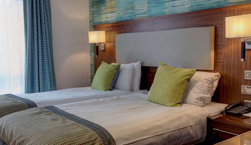 Standard Room, 1 King Bed, Accessible, Non Smoking