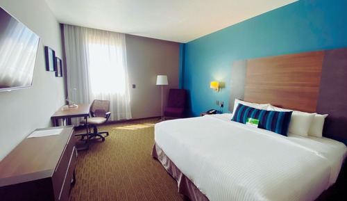 Room, 1 King Bed