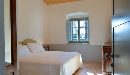 Comfort Suite