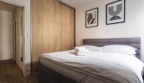 Economy Apartment, 1 Bedroom (Suche Myto)