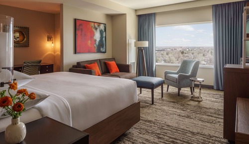 Deluxe Room, 1 King Bed with Sofa bed