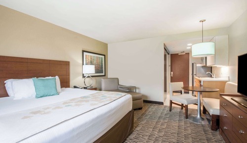 Suite, 1 King Bed